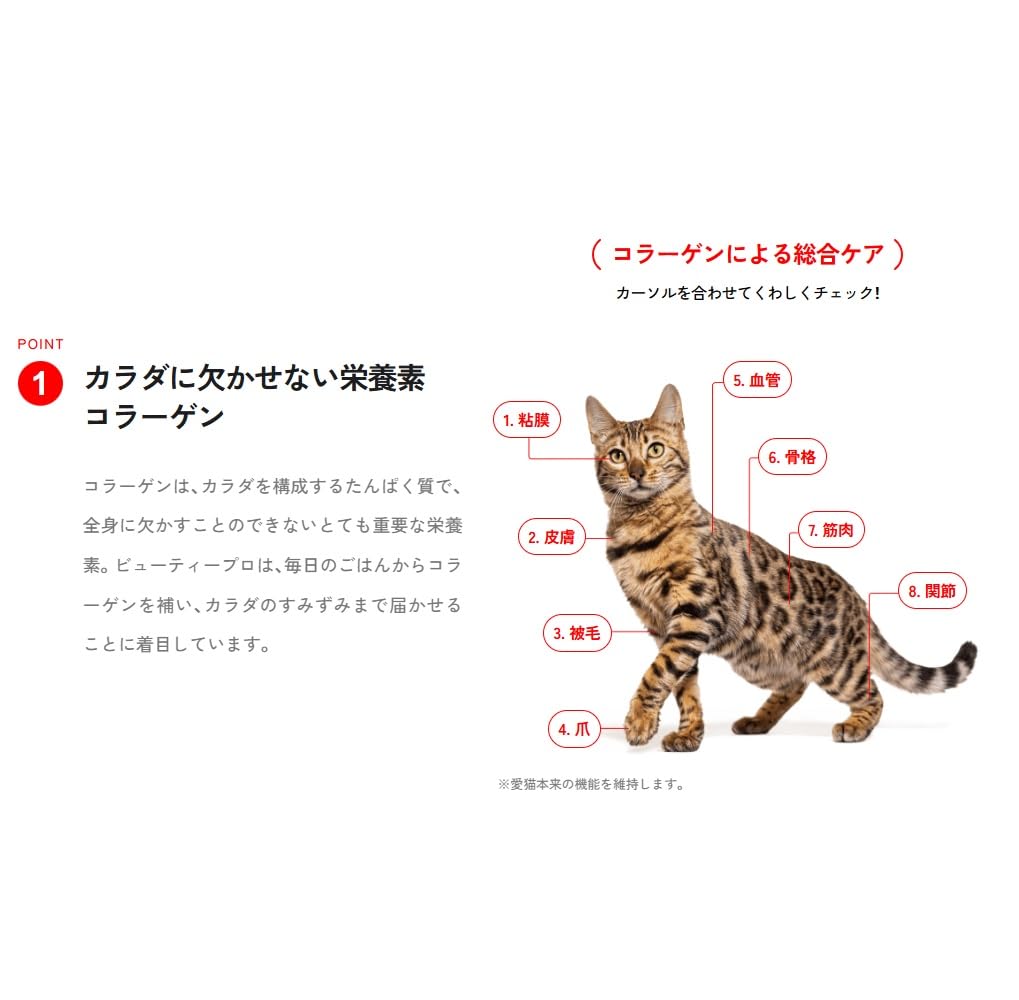 Amazon.co.jp: ビューティープロ キャットフード 下部尿路の健康維持 1